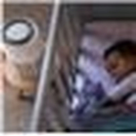 Air purifier Philips AC0920/10 White-2