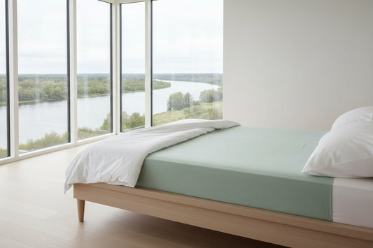 Fitted bottom sheet TODAY Essential Light Green 160 x 200 cm 160 x 200-0